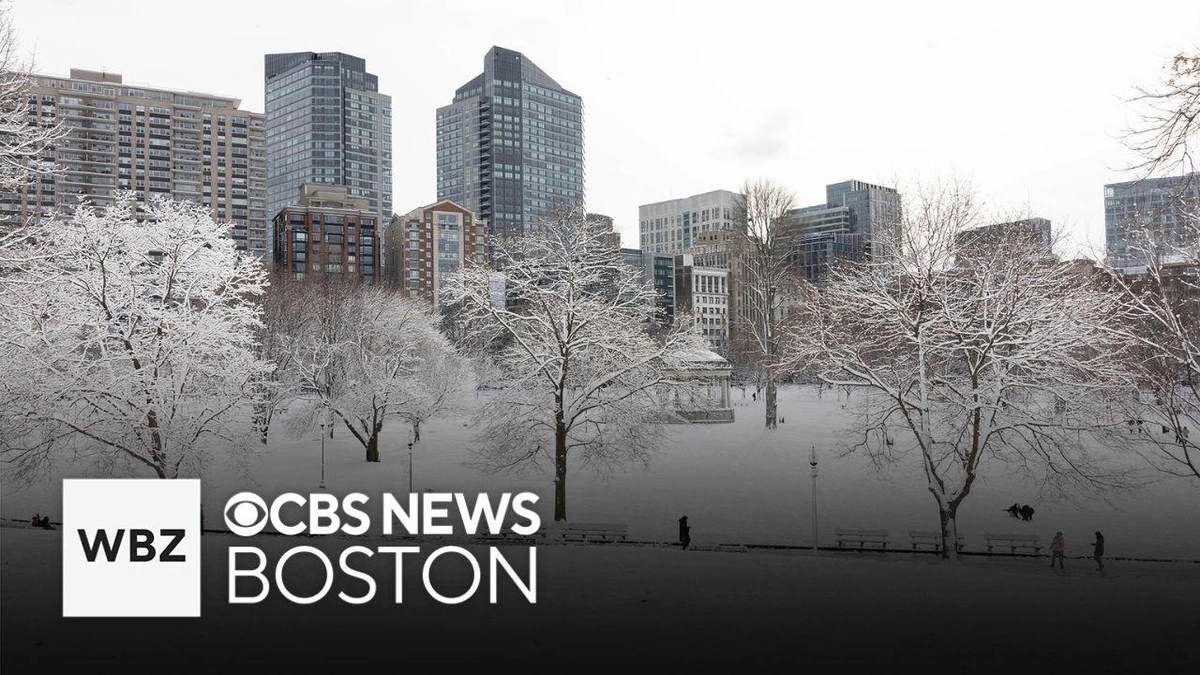 So, Why is Boston Weather So… Dramatically Unpredictable?