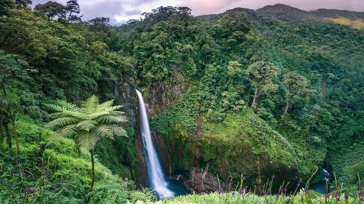 From Rainforests to Renewables | The Green Superpower You Didn't Know