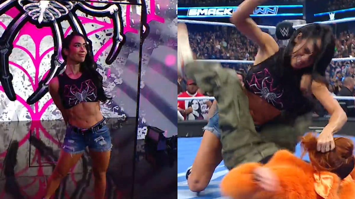 Is an AJ Lee WWE Return Imminent? Decoding the Signals