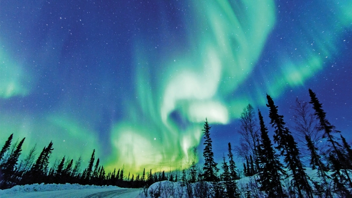 The Science Behind the Spectacle | More Than Just Pretty Colors
