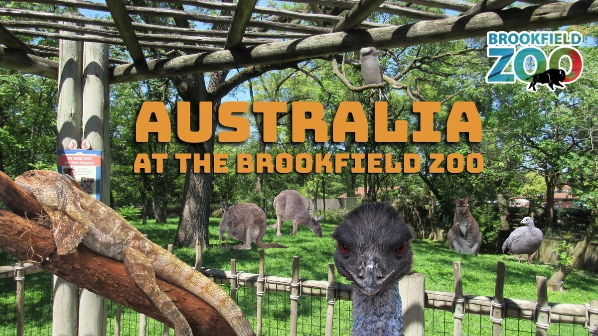The “Why” BehindBrookfield Zoo'sPopularity
