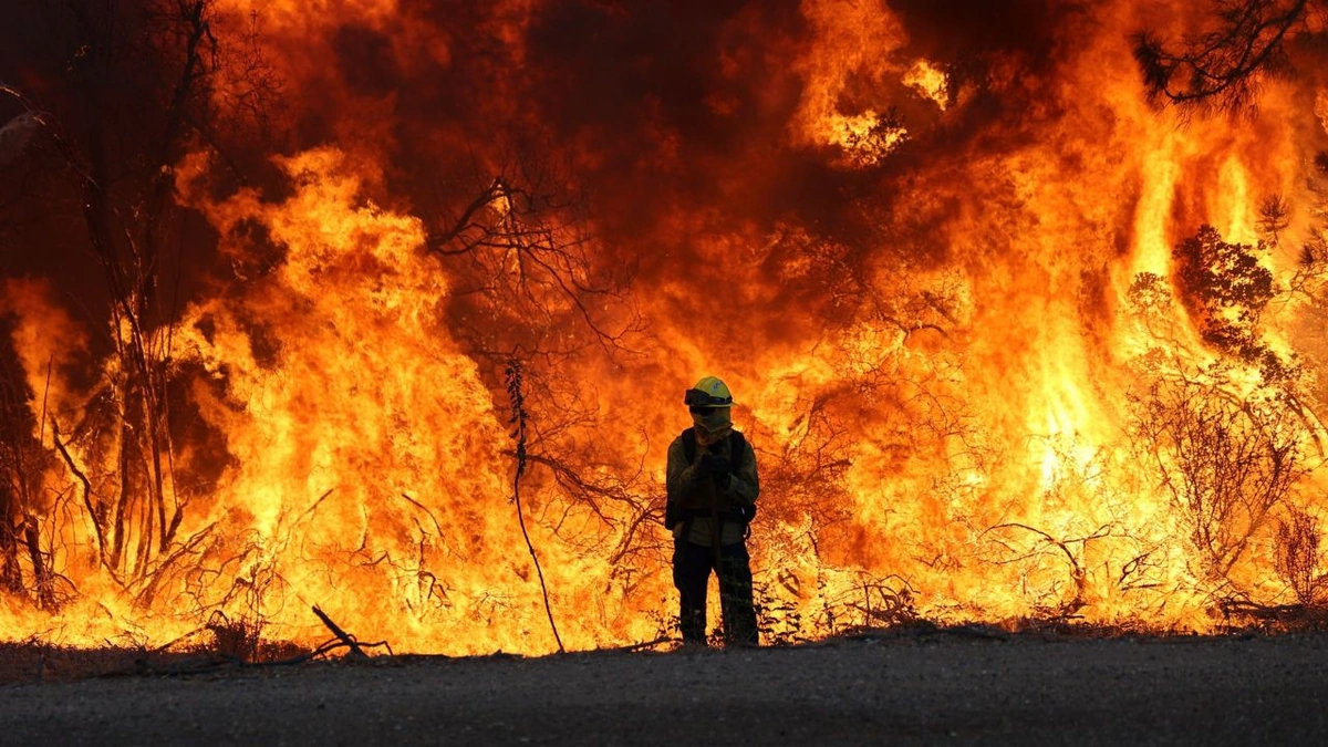 The "Why" Behind Cal Fire's Broad Mandate