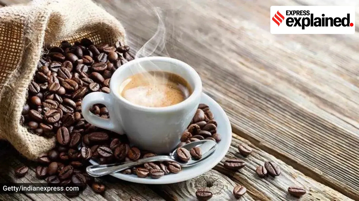 TheCoffeeConnection: More Than Just Caffeine