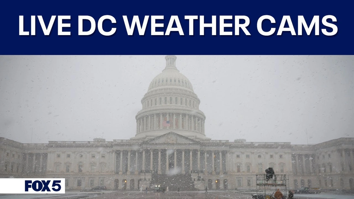 Why DC Weather Feels Like a Rollercoaster