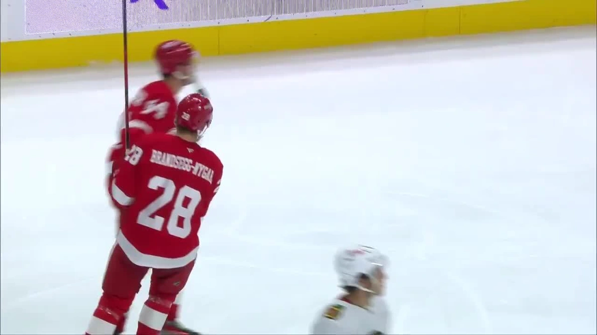 Why the Red Wings Matter | More Than Just Goals