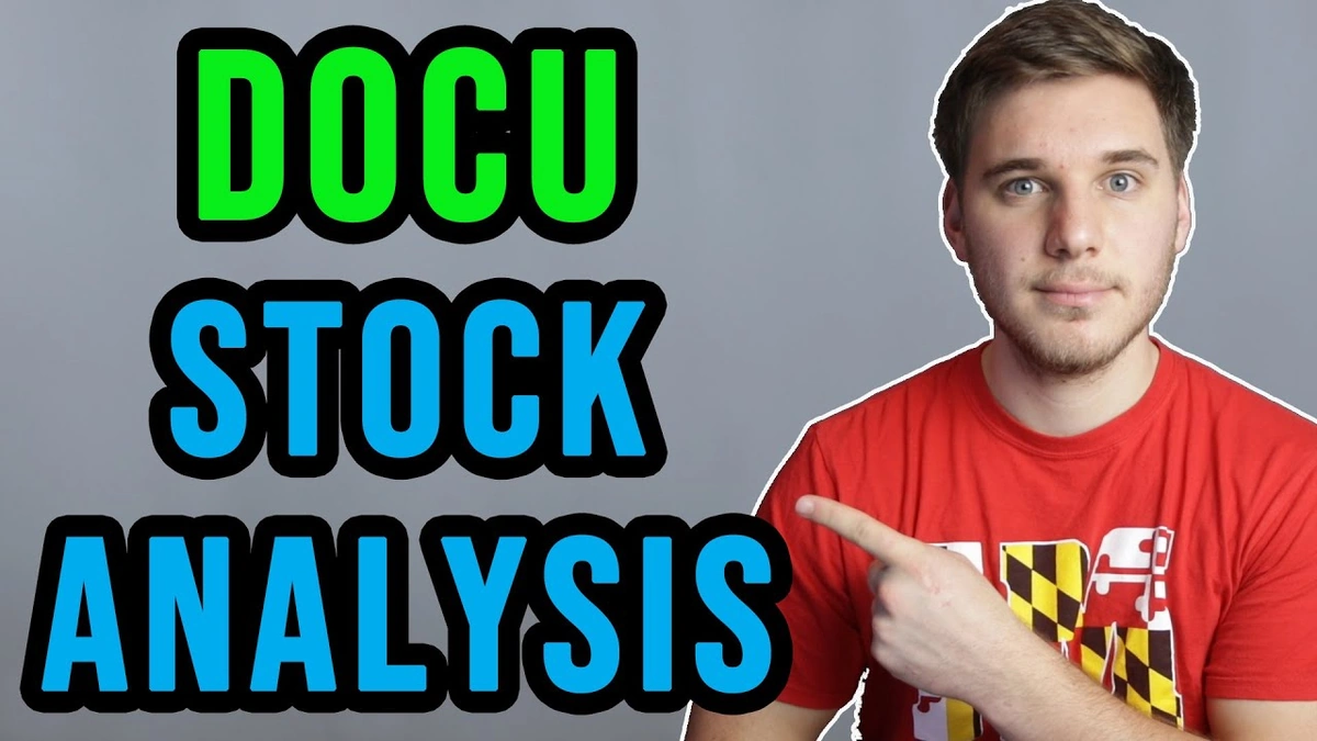 The Core Business of Docu Stock | More Than Just Signatures