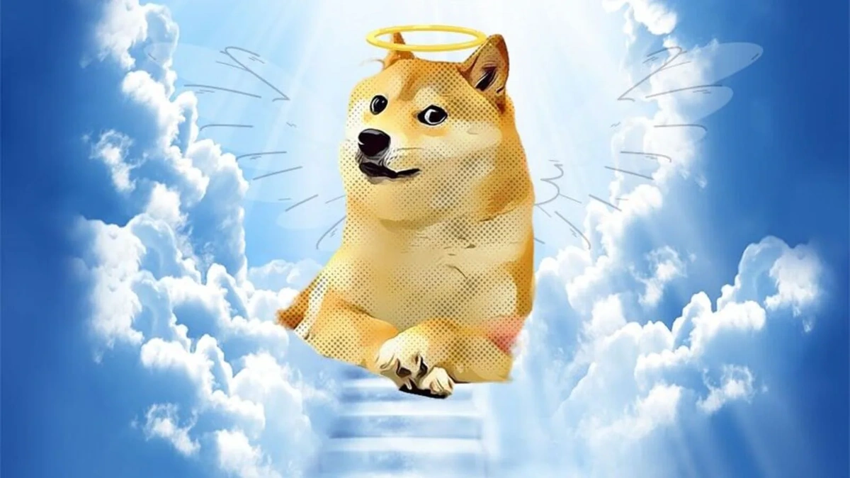 The Enduring Appeal | Why Doge Persists