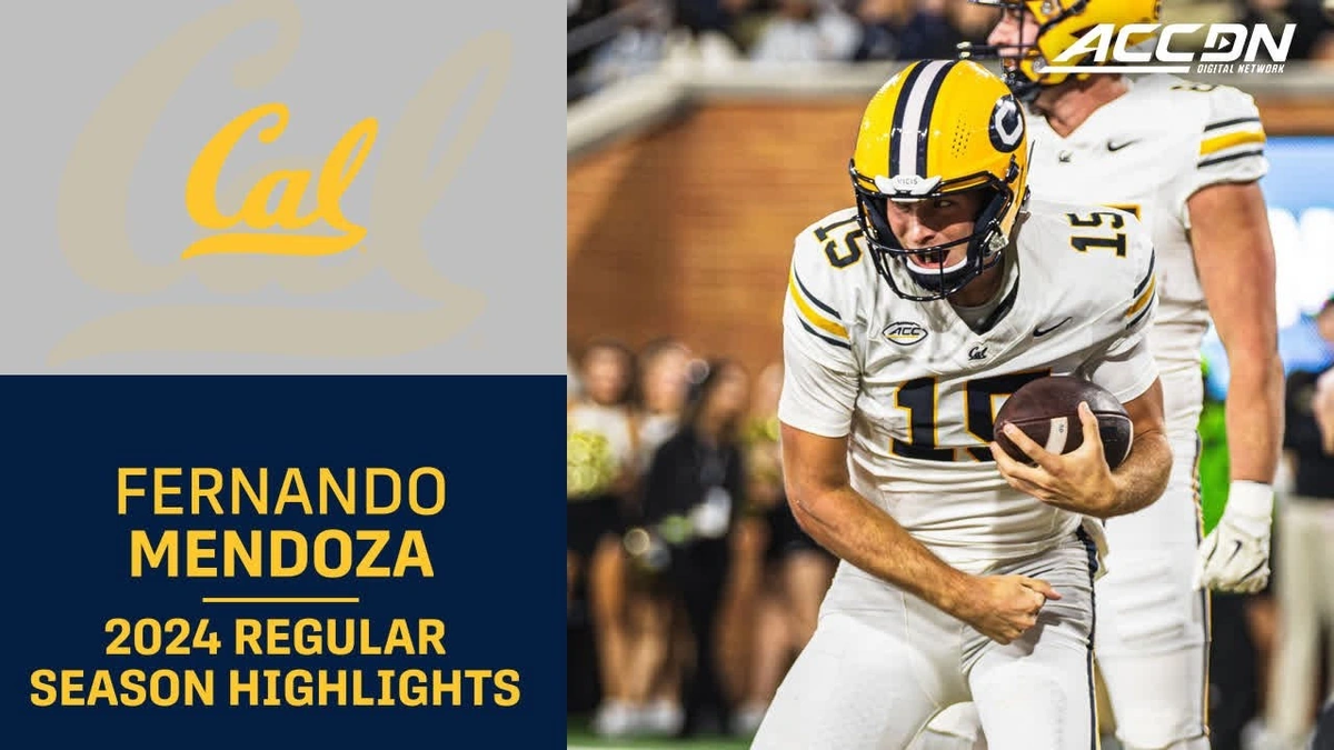 The "Why" Behind the Buzz | More Than Just a Name