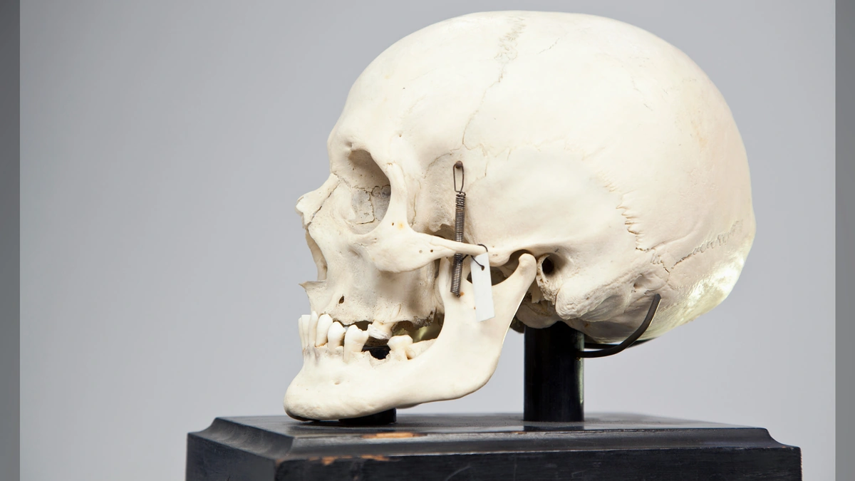 Unearthing More Than Just Bones | The Context of Discovery