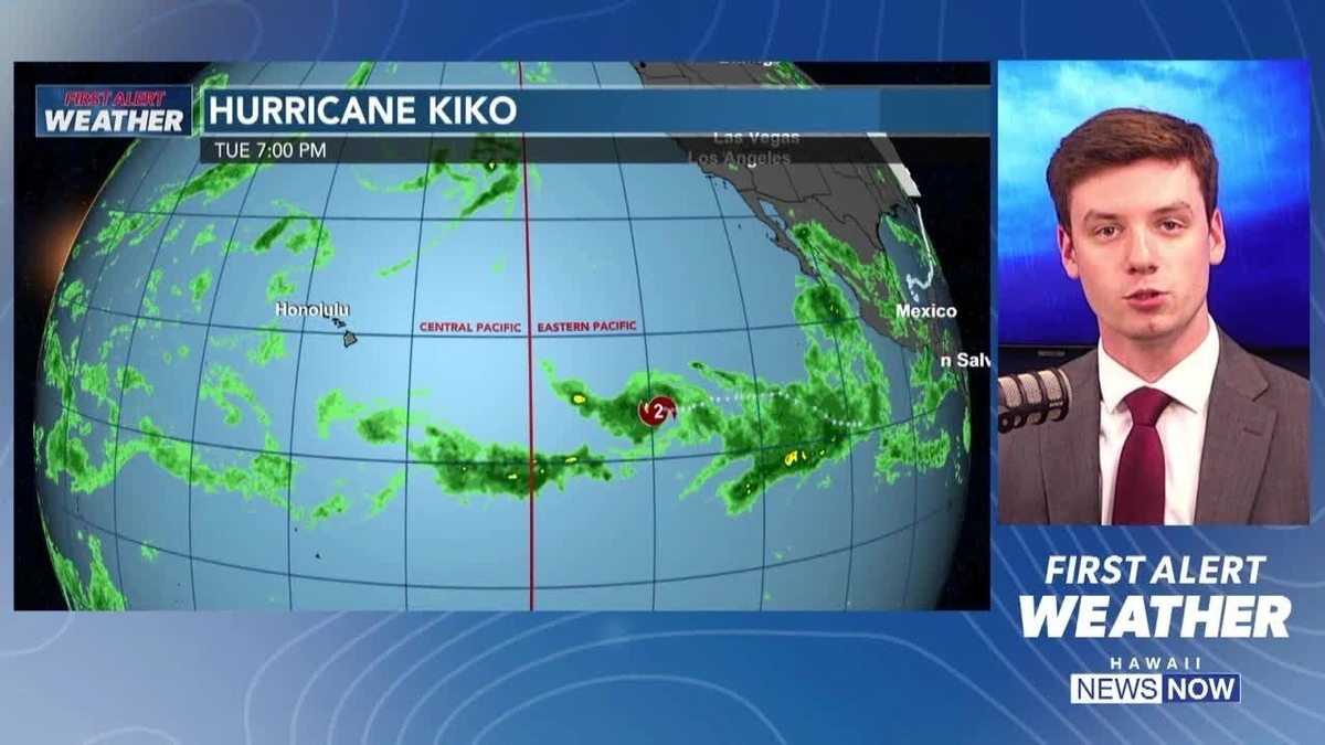 What's the Big Deal with Kiko? (The 'Why' Angle)