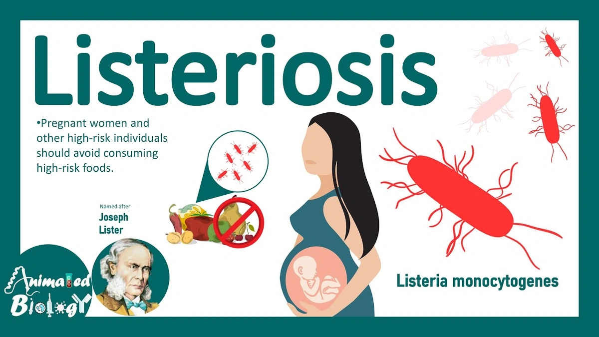 What Exactly IS Listeria, Anyway? (Beyond the Headlines)