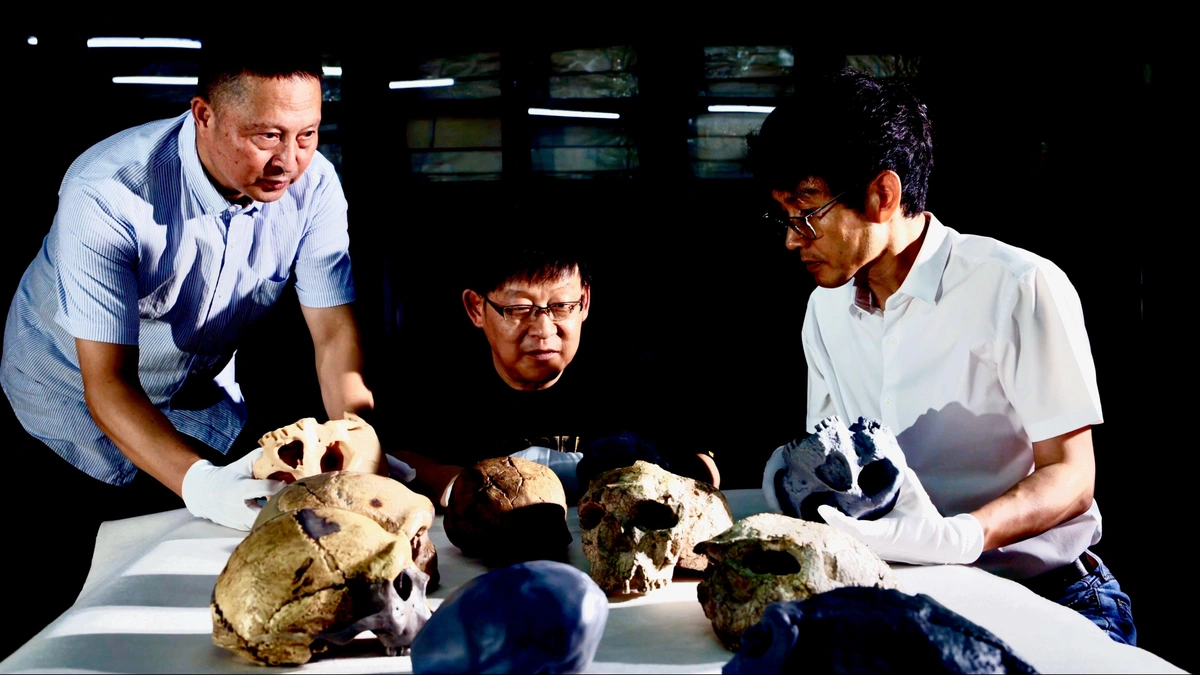 The Find | A Face From the Distant Past
