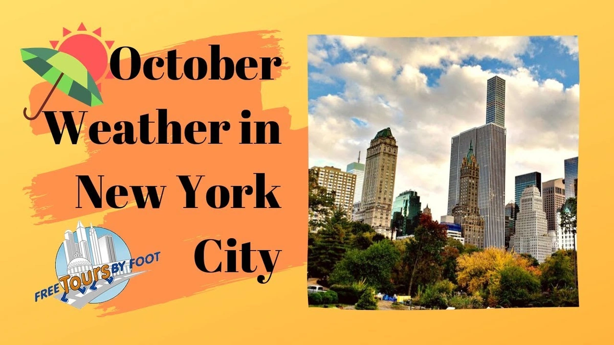 The Why | A City at War with Weather Patterns