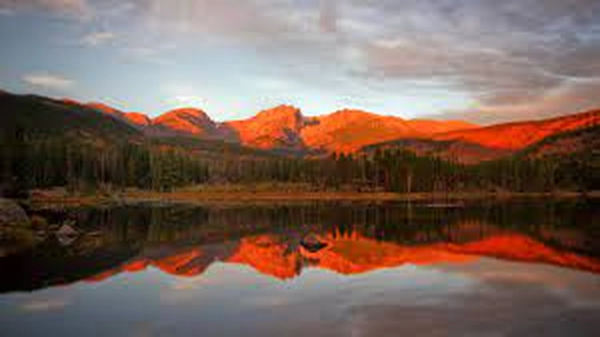 The Ecological Heartbeat | More Than Just Scenery