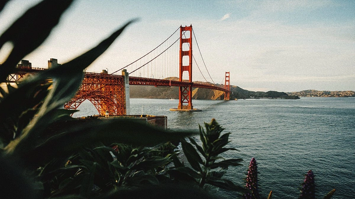 Why San Francisco's Tech Boom Isn't Always a Good Thing