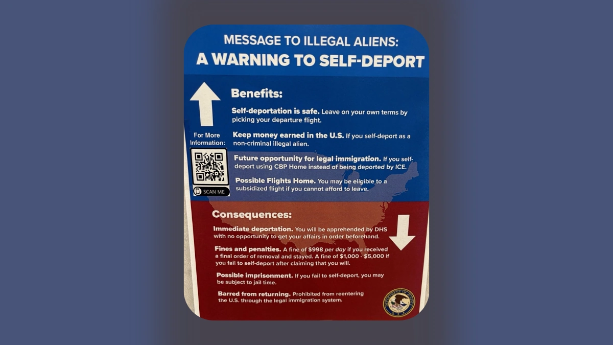 What isSelf-Deportation, Really?