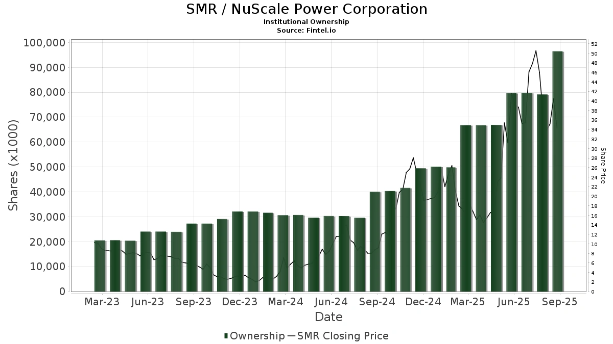 What's the Deal with SMR Anyway?