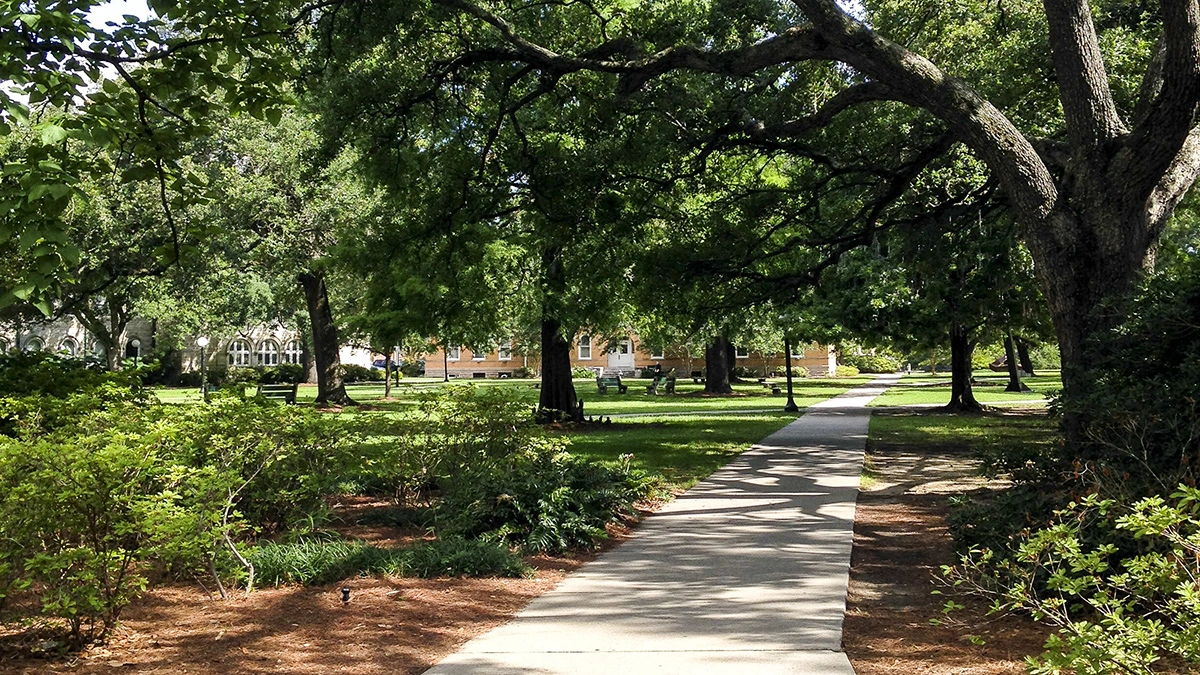 Academics | More Than Just a Name