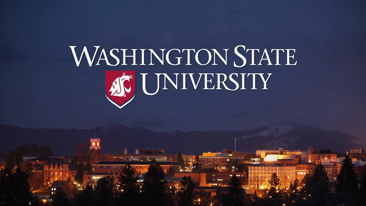 The Crimson and Gray Legacy | A Deep Dive into WSU's Roots