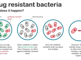 Antibiotic Resistance