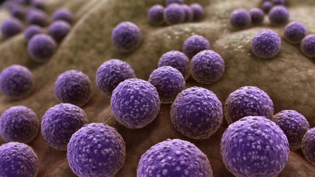 Why Should You Care About Antibiotic Resistance? (More Than You Think!)