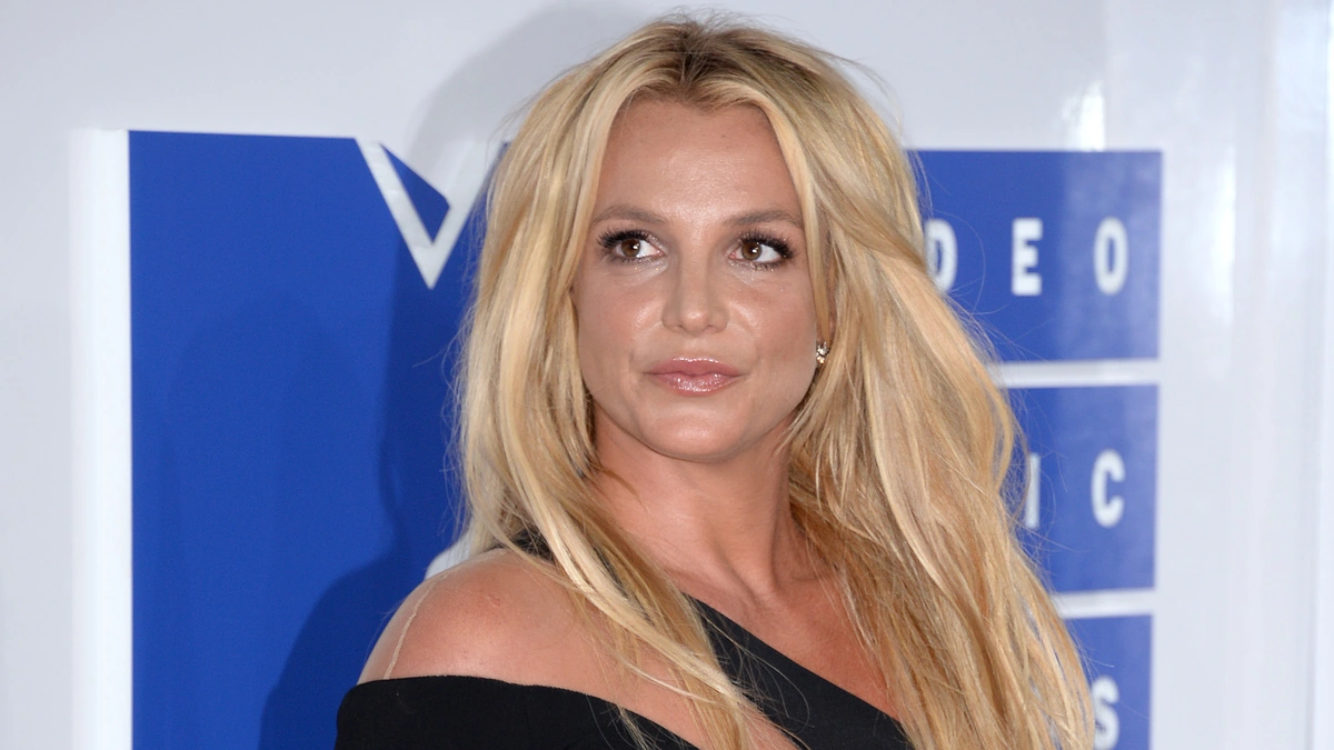 The Allegations | What Exactly Did Federline Say?