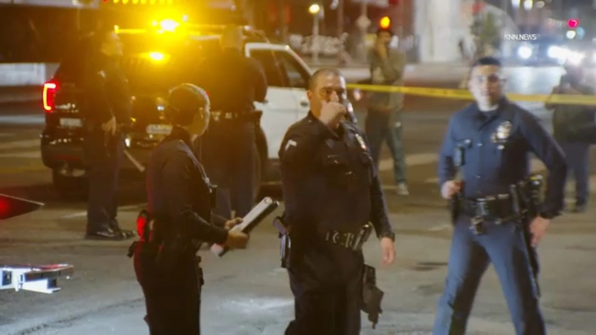 Why Chicago? Unpacking the Domestic Terror Landscape