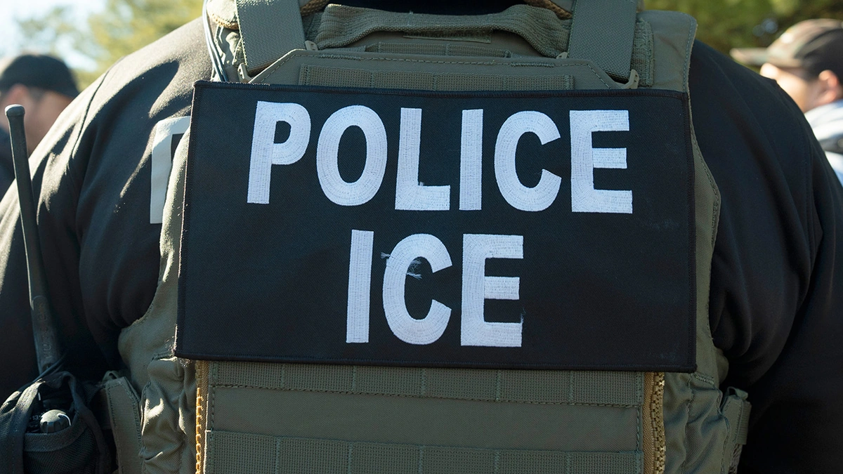 Why Chicago? Unpacking the Domestic Terror Landscape