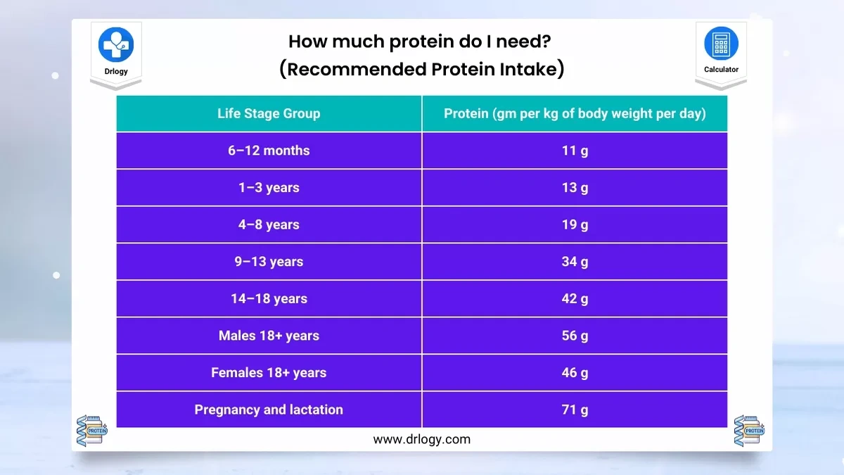 Why All the Fuss About Protein Anyway?