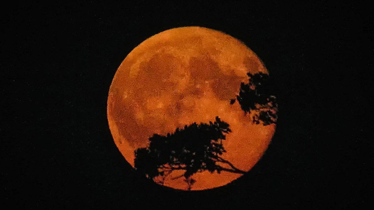 Why All the Harvest Moon Hype?