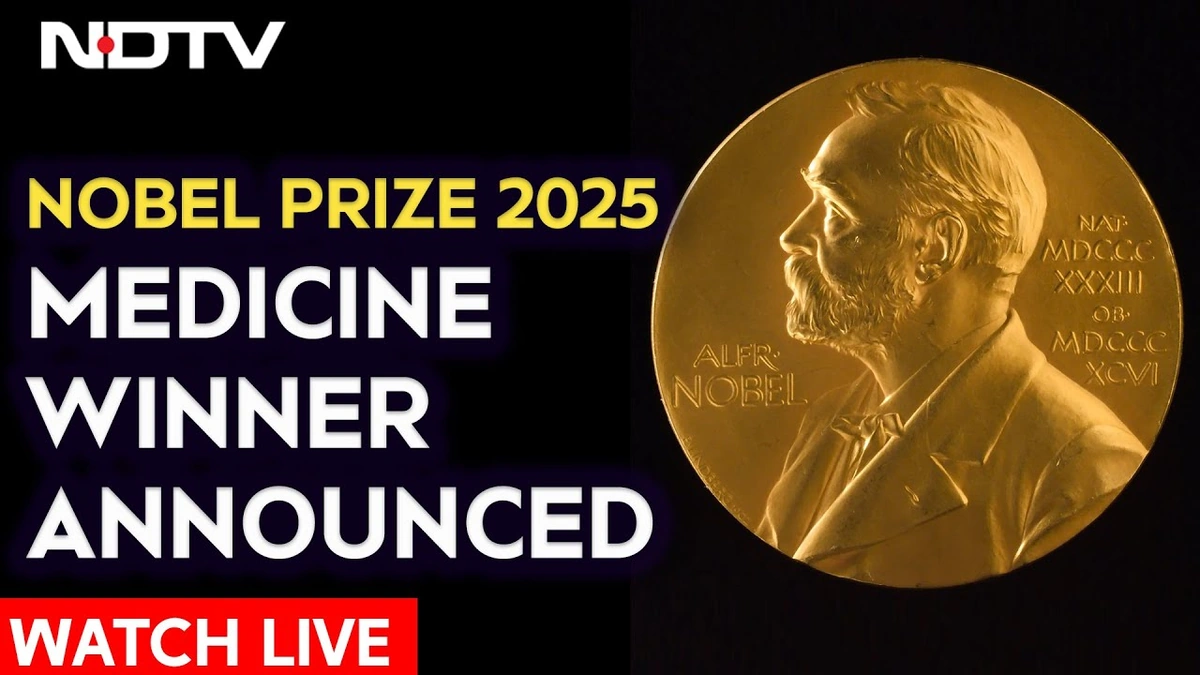 Decoding the Nobel | It's Not Just About the Winner