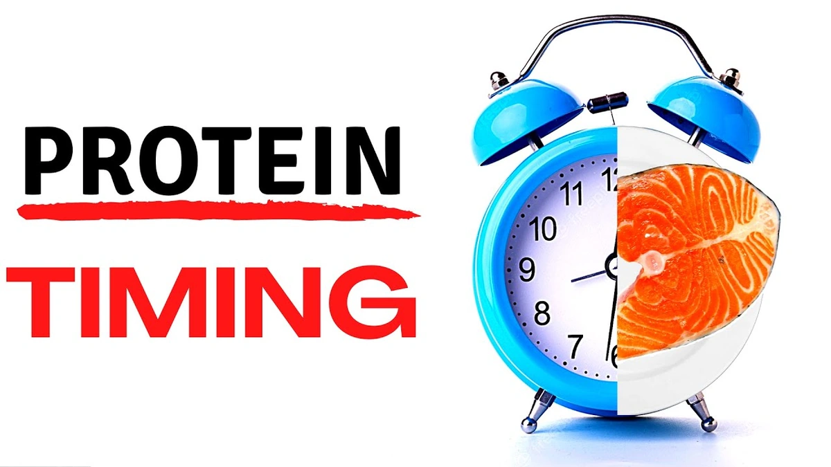 The "Anabolic Window" Myth | Is It Real?