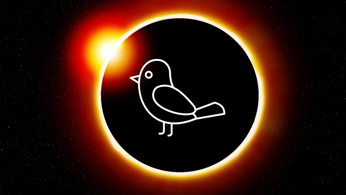 The Science Behind the Shift | Why Eclipses Mess With Birds