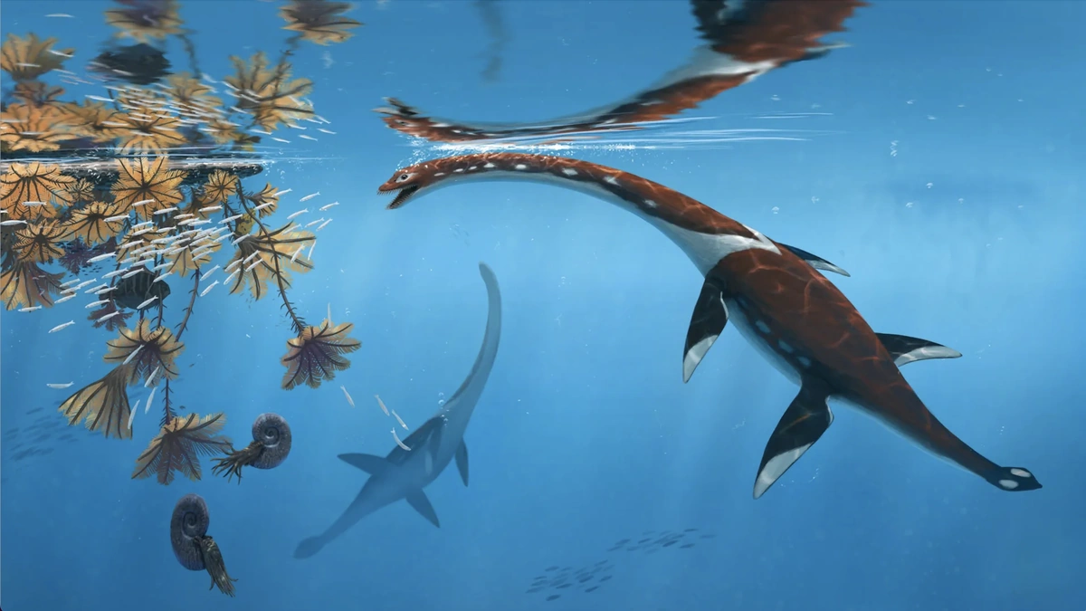 What Makes This 'Sword Dragon' Fossil So Special?
