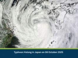 Typhoon Halong