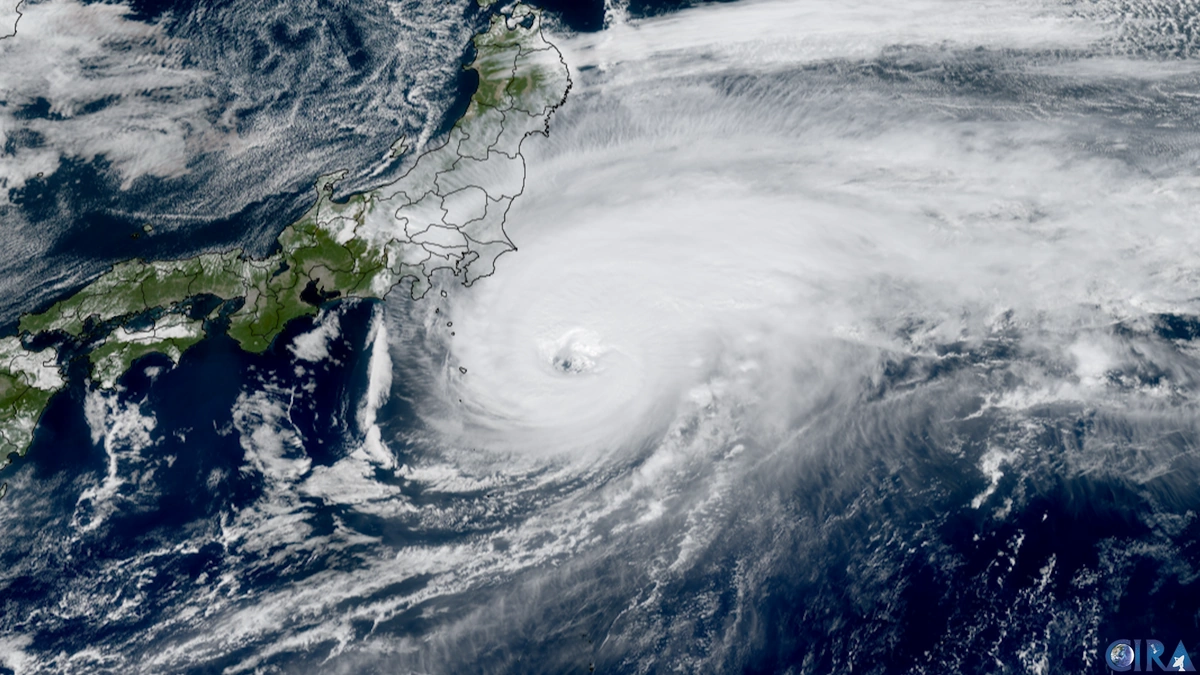 Why Typhoon Halong's Impact Matters