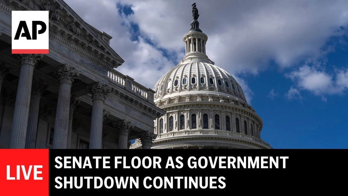 Why Should India Care About a US Shutdown?