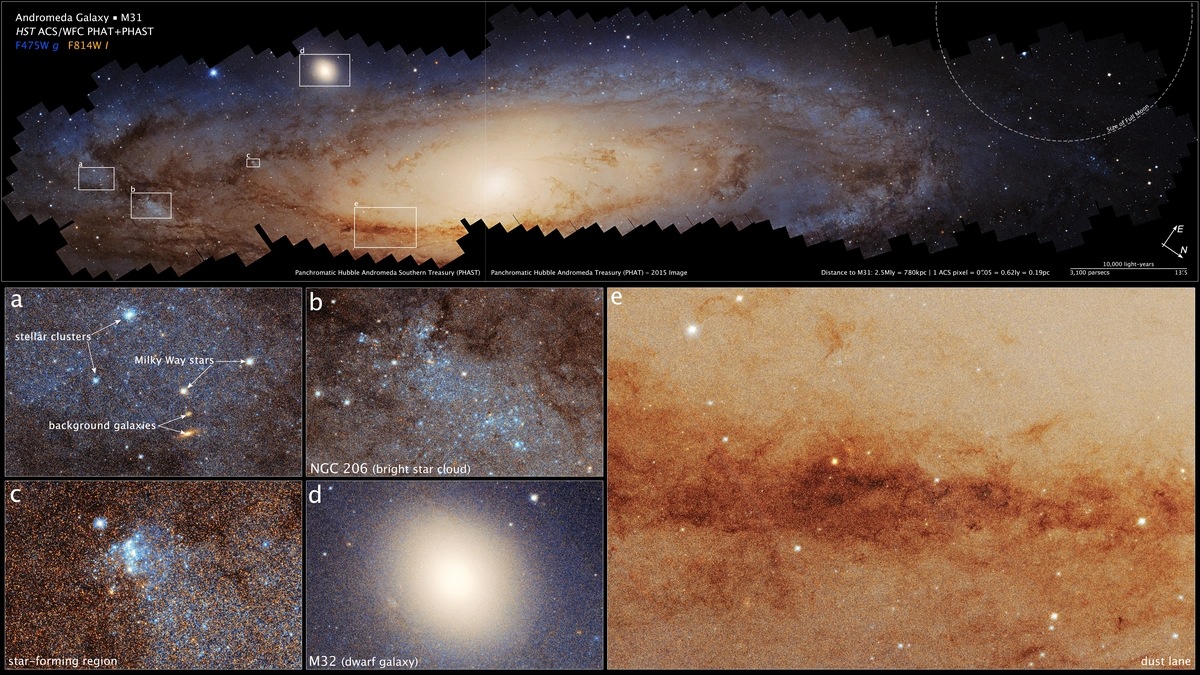 Why Should You Care About Andromeda? The Big Picture