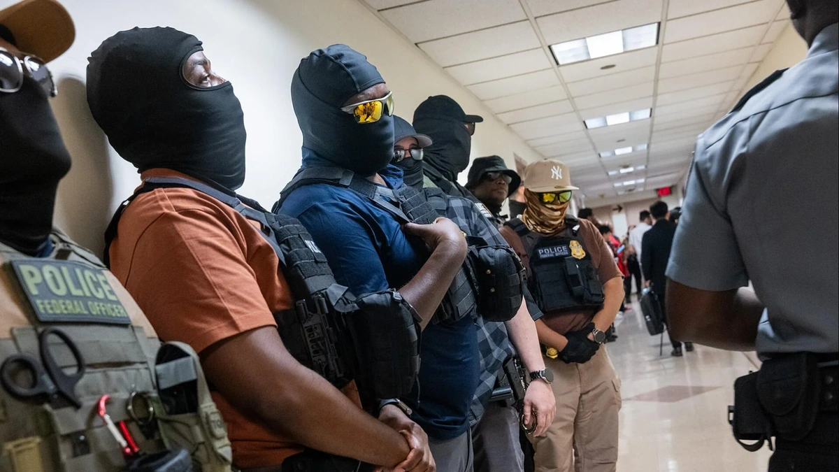 Why So Many Arrests? Understanding the Safe Task Force
