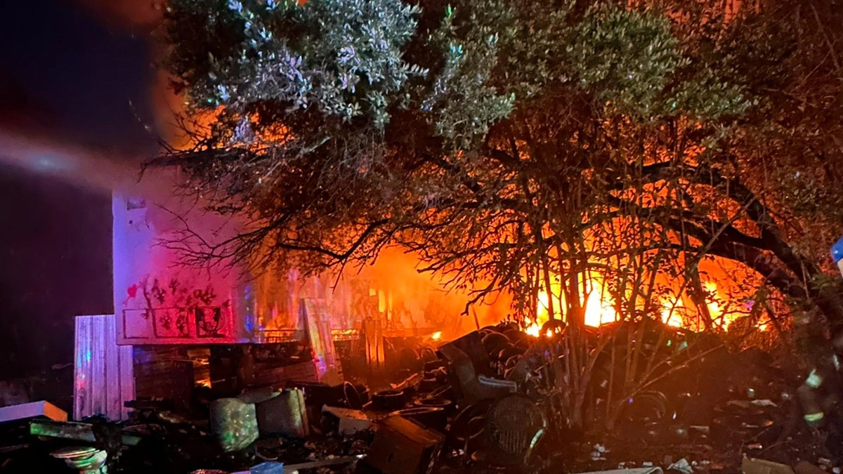 The Alarming Increase in Wildfires | A Deeper Look