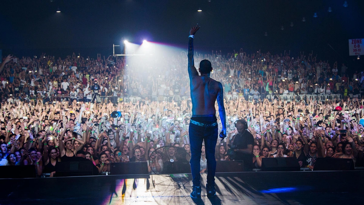 Decoding the Chris Brown Appeal | Beyond the Music