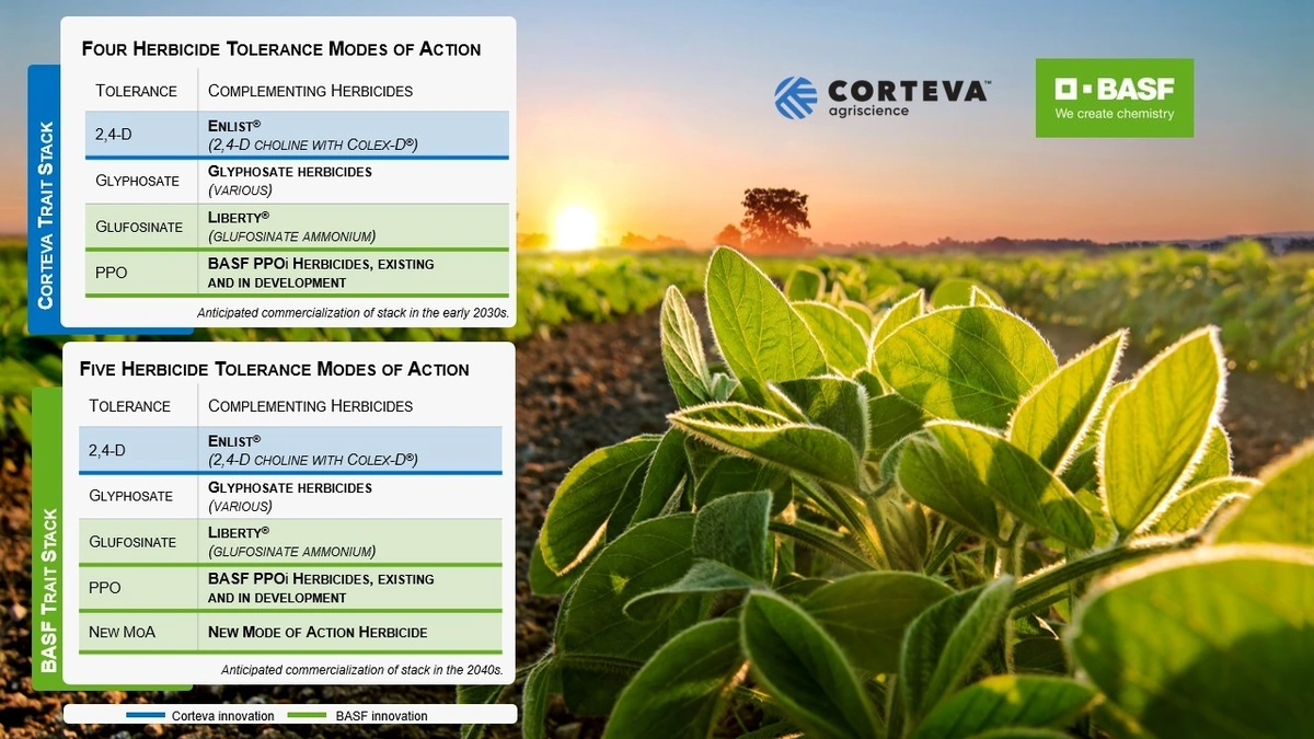 Corteva's Core Business | A Quick Look