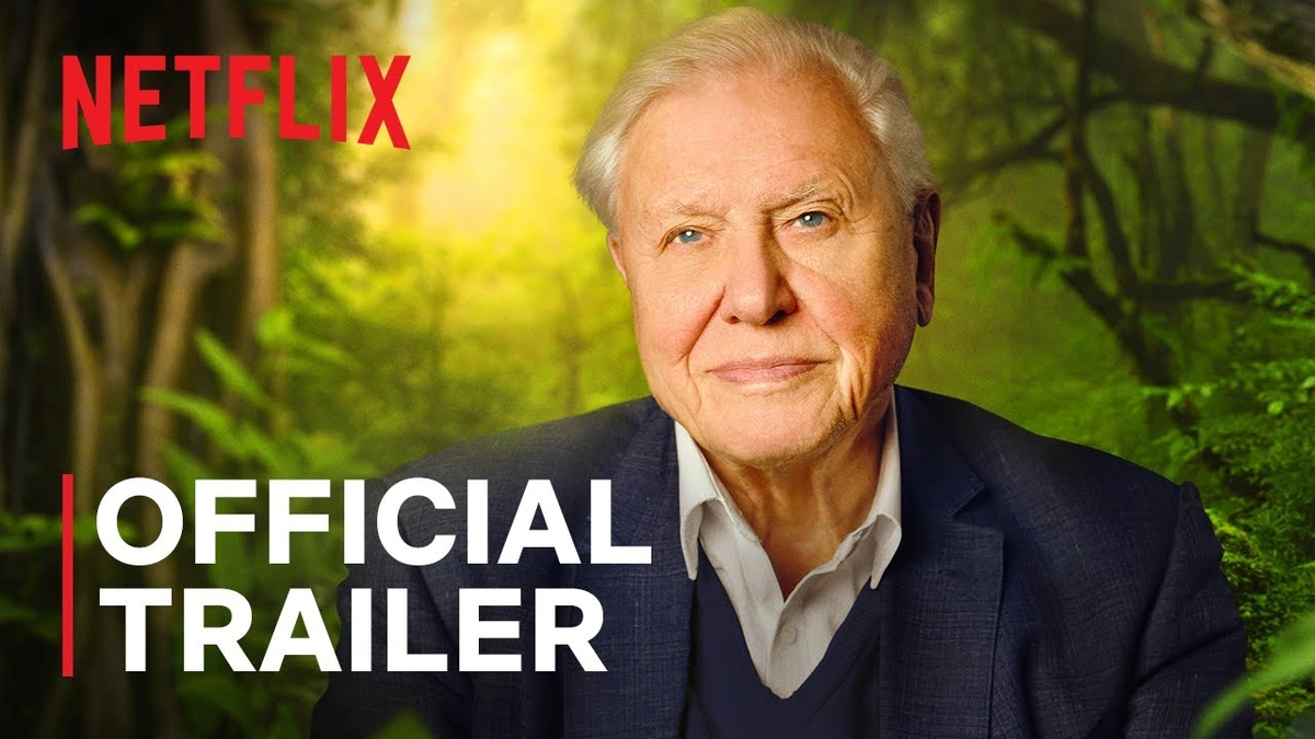 A Legacy Forged in Film | More Than Just a Narrator