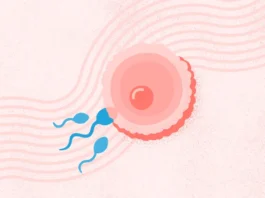 fertility