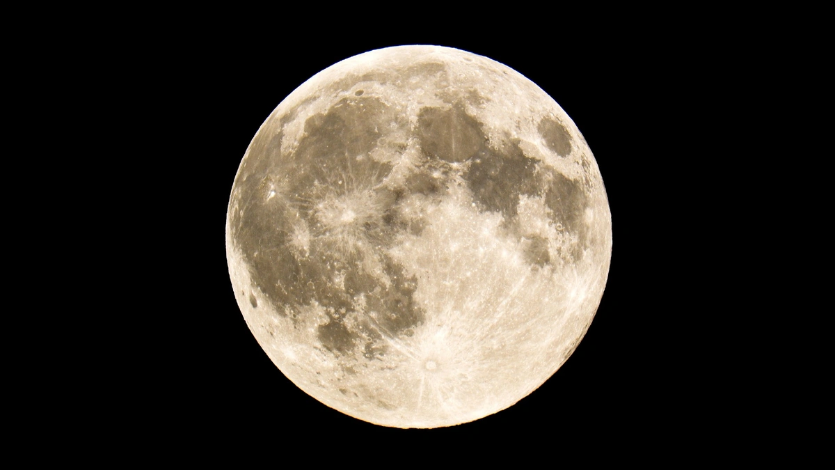 Decoding the Lunar Cycle | More Than Just a Pretty Face