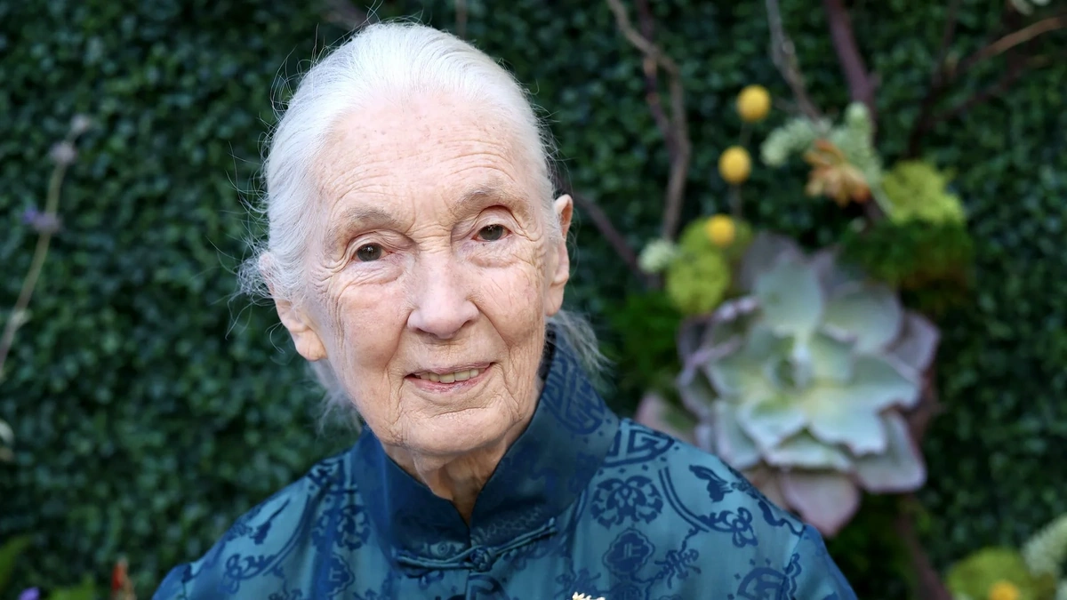 Fact-Checking the Rumors | Is Jane Goodall Still Alive?