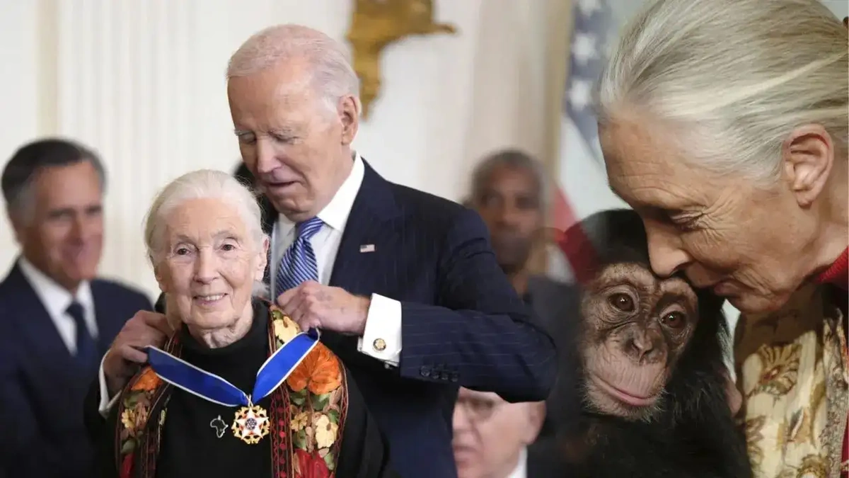 Why Jane Goodall's True Wealth Extends Far Beyond Money