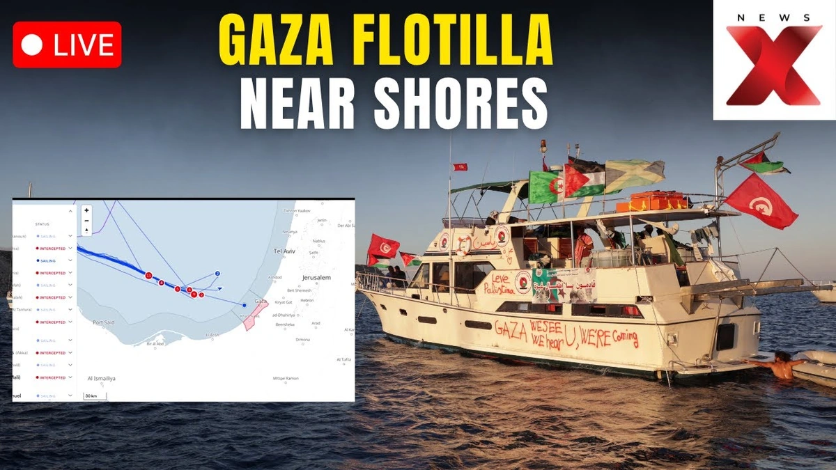 What Was the Mikeno Flotilla, Anyway?