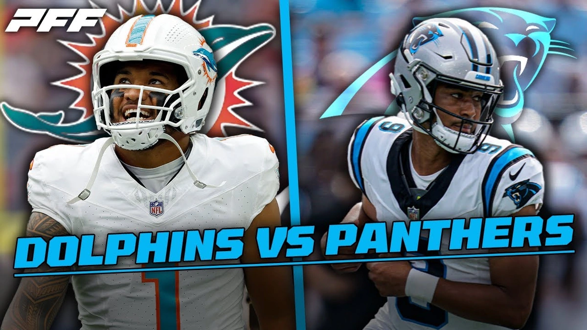 The Underdog Story | Why the Panthers Can't Be Counted Out