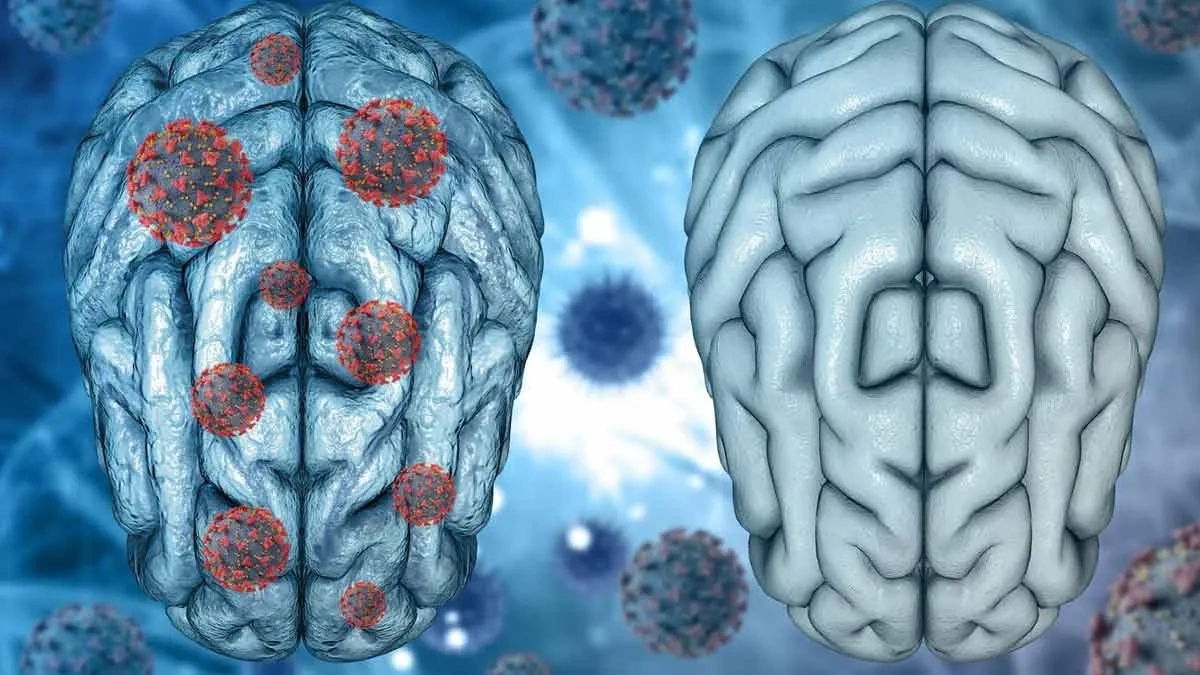 The 'Why' Behind the Headline | Unpacking a Medical Mystery